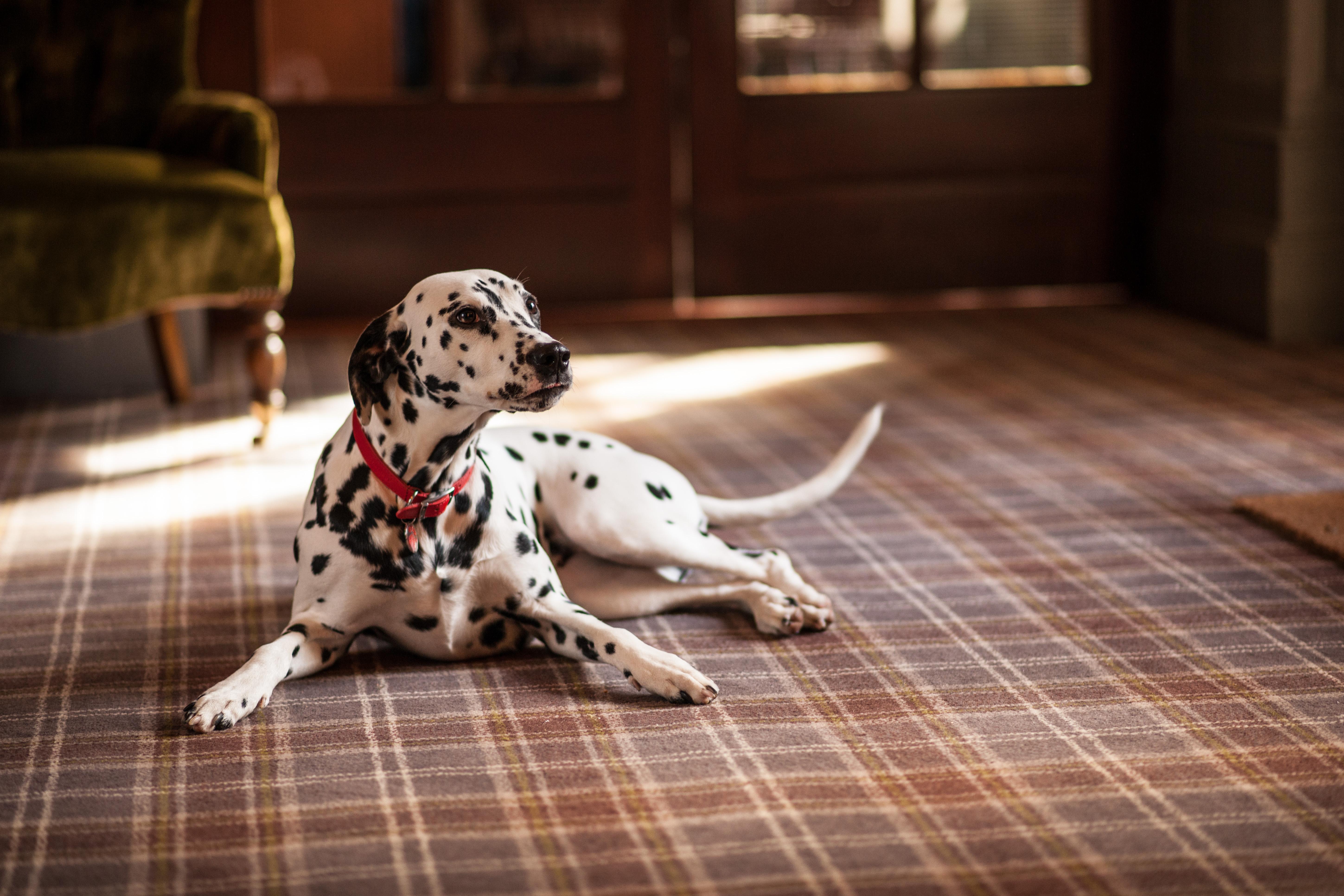 Balmoral Arms Hotel Ballater Luaran gambar